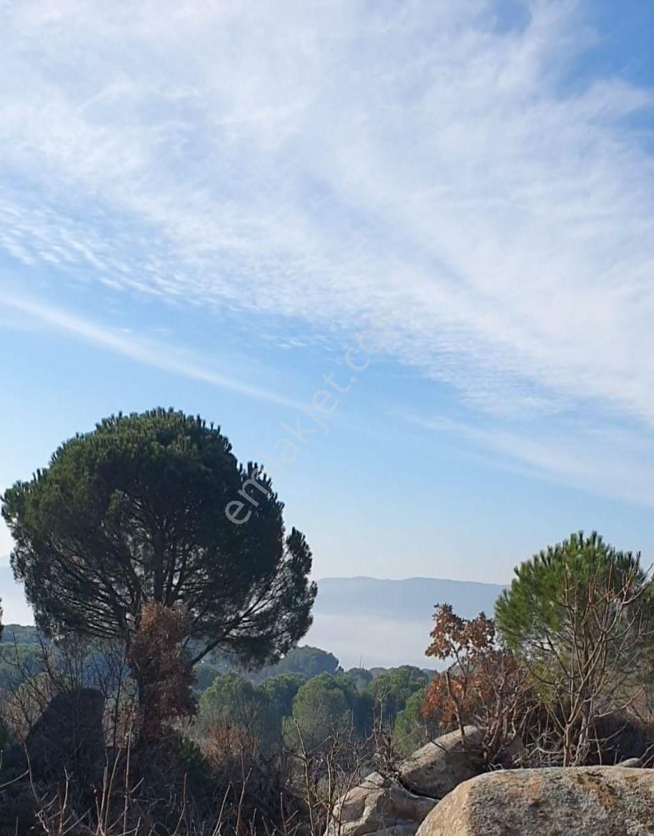 Cb Fark'tan Bergama Kozak Yaylası Satılık 1650 M² İmarlı Arsa - Görsel 9
