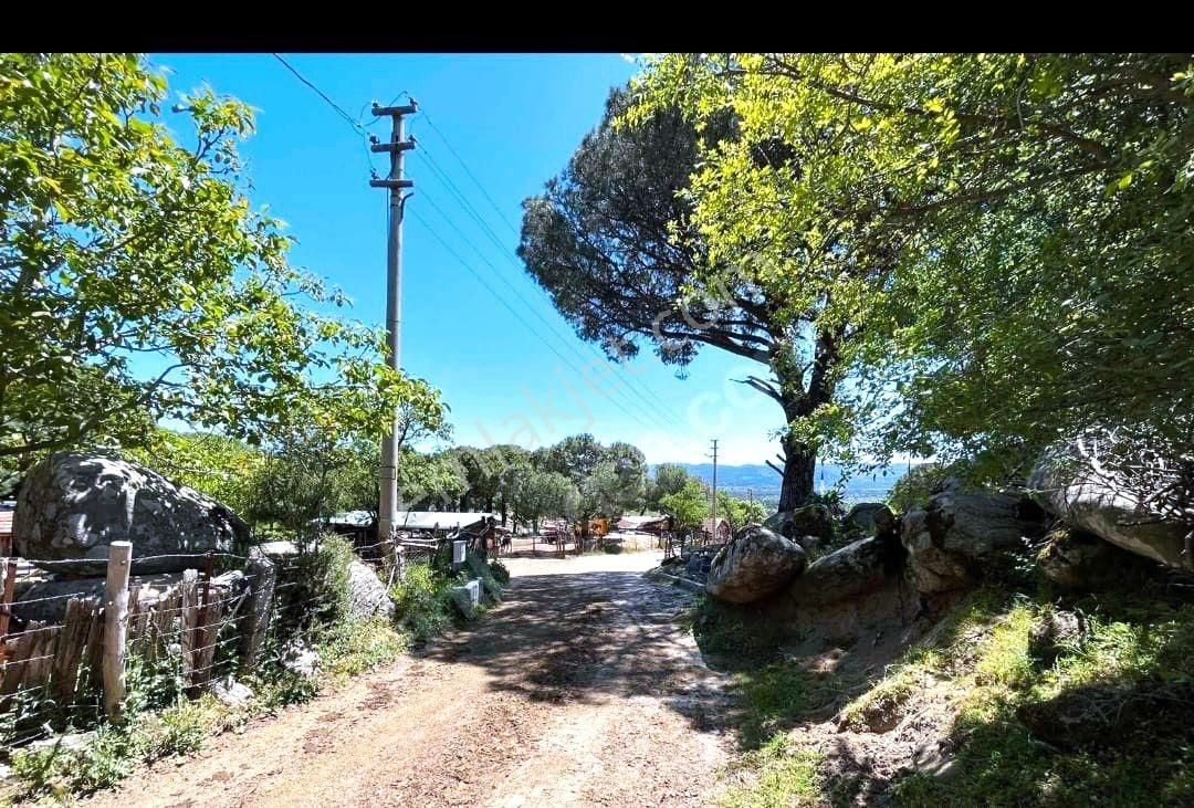 Cb Fark'tan Bergama Kozak Yaylası Satılık 1650 M² İmarlı Arsa - Görsel 5