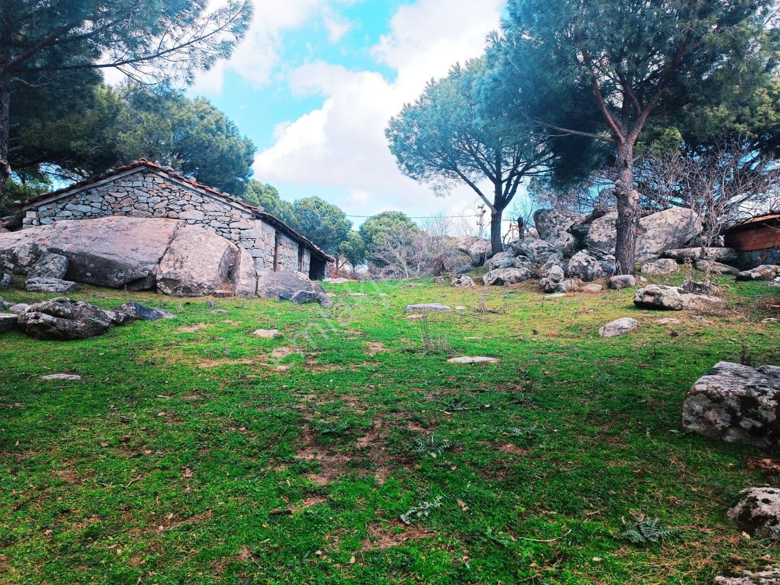 Cb Fark'tan Bergama Kozak Yaylası Satılık 1650 M² İmarlı Arsa - Görsel 9