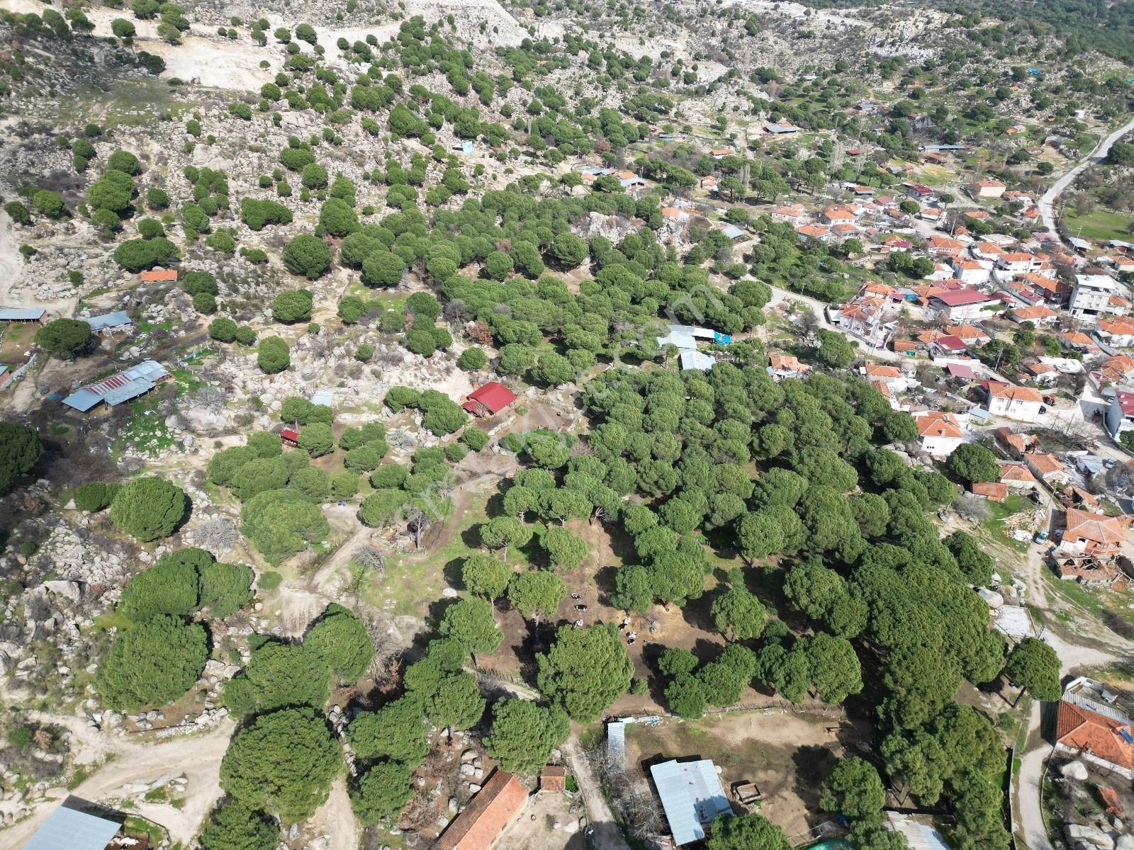 Cb Fark'tan Bergama Kozak Yaylası Satılık 1650 M² İmarlı Arsa - Görsel 12