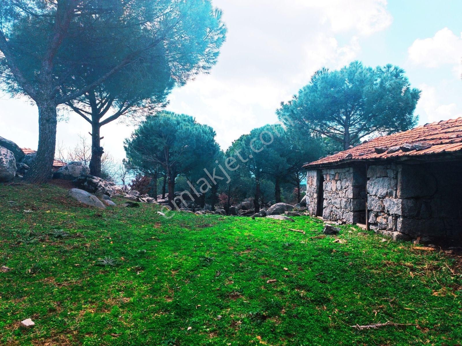 Cb Fark'tan Bergama Kozak Yaylası Satılık 1650 M² İmarlı Arsa - Görsel 12