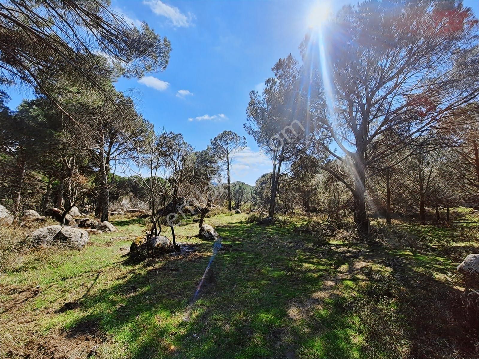 Ayvalık Bağyüzü Satılık Yola Cepheli Yatırıma Uygun Hobi Bahçesi - Görsel 18
