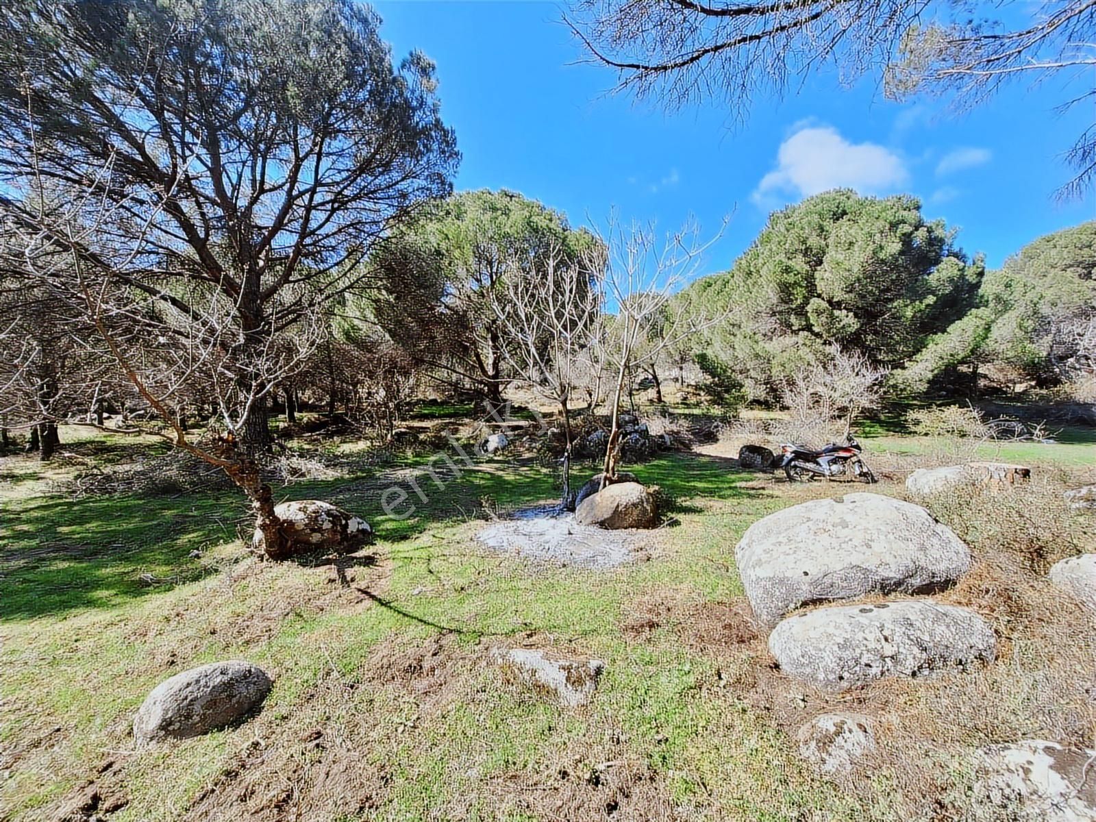 Ayvalık Bağyüzü Satılık Yola Cepheli Yatırıma Uygun Hobi Bahçesi - Görsel 9