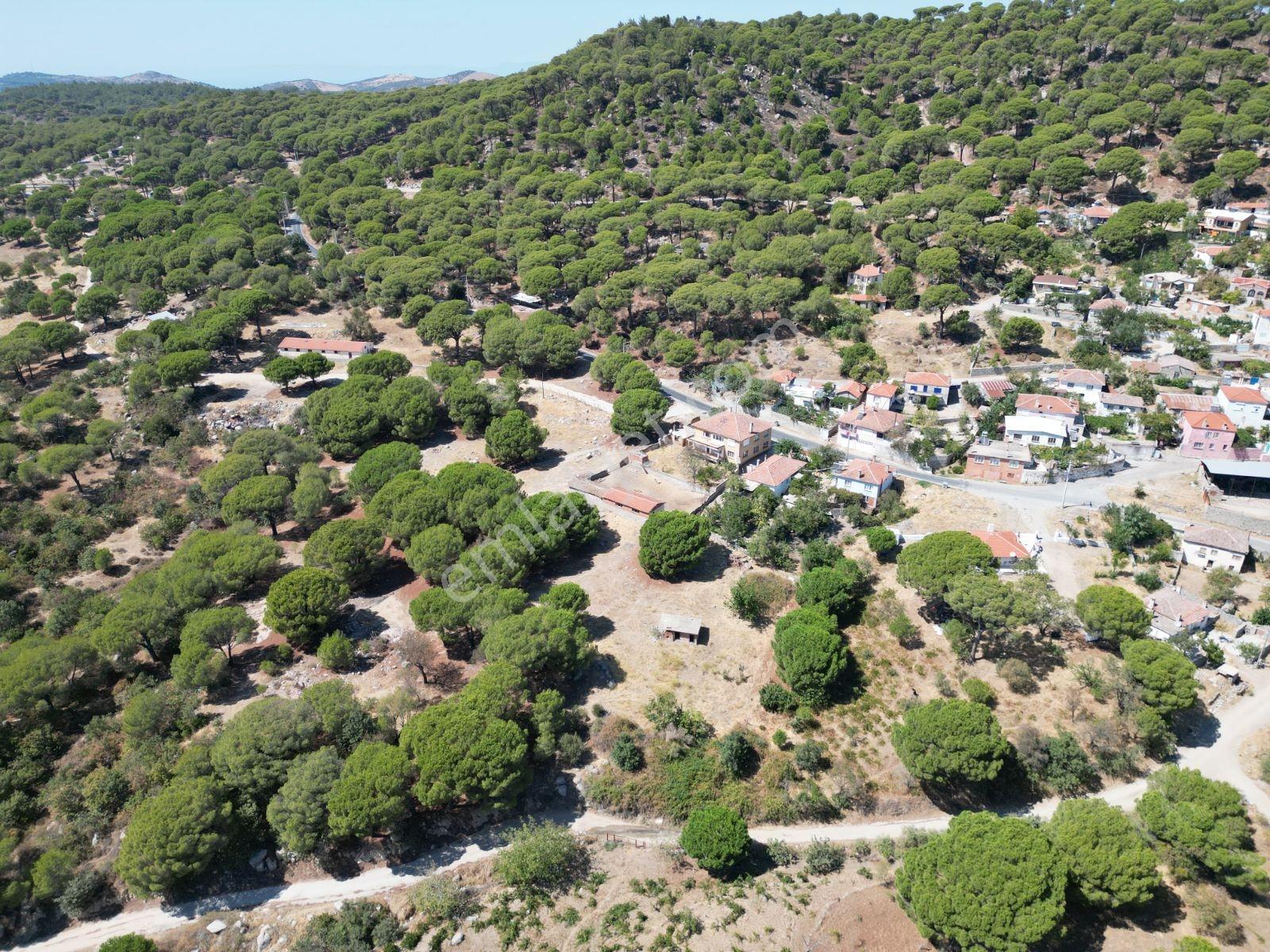 Cb Fark'tan Ayvalık Bağyüzü'nde 623 M² Yatırımlık Villa Arsası - Görsel 4
