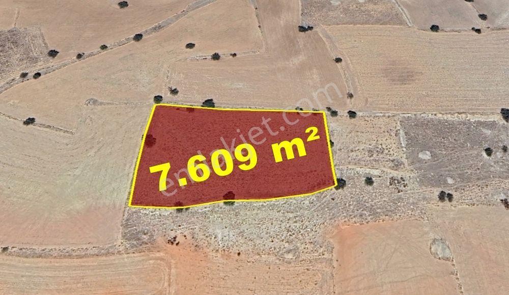 Karaman / Kazımkarabekir / Subaşı Mahallesinde 7.609 M² Müstakil Tapulu - Görsel 4