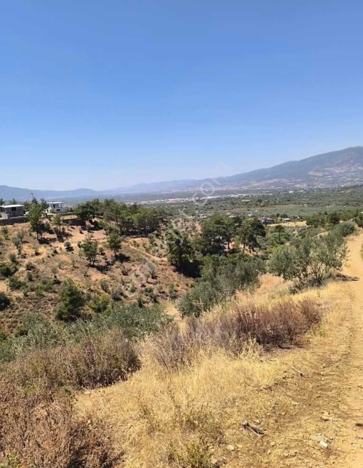 İzmir Kemalpaşa Ören 75. Yıl Mahallesi – 12,6 Dönüm Tek Tapu Tarla - Görsel 6