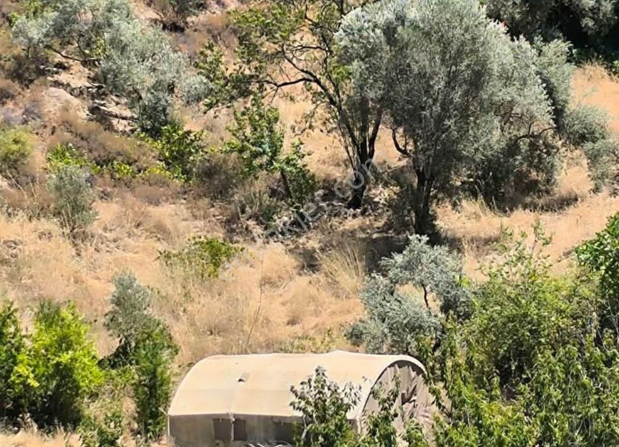 İzmir Kemalpaşa Ören 75. Yıl Mahallesi – 12,6 Dönüm Tek Tapu Tarla - Görsel 4