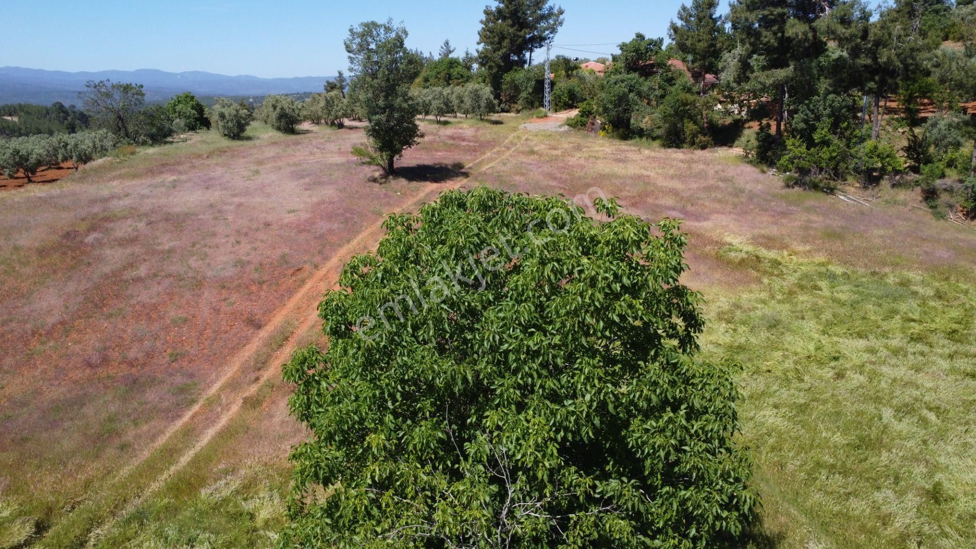 Beyağaç'ta Doğa İçinde Altyapısı Hazır 10 Villalık Fırsat Arsalar - Görsel 6