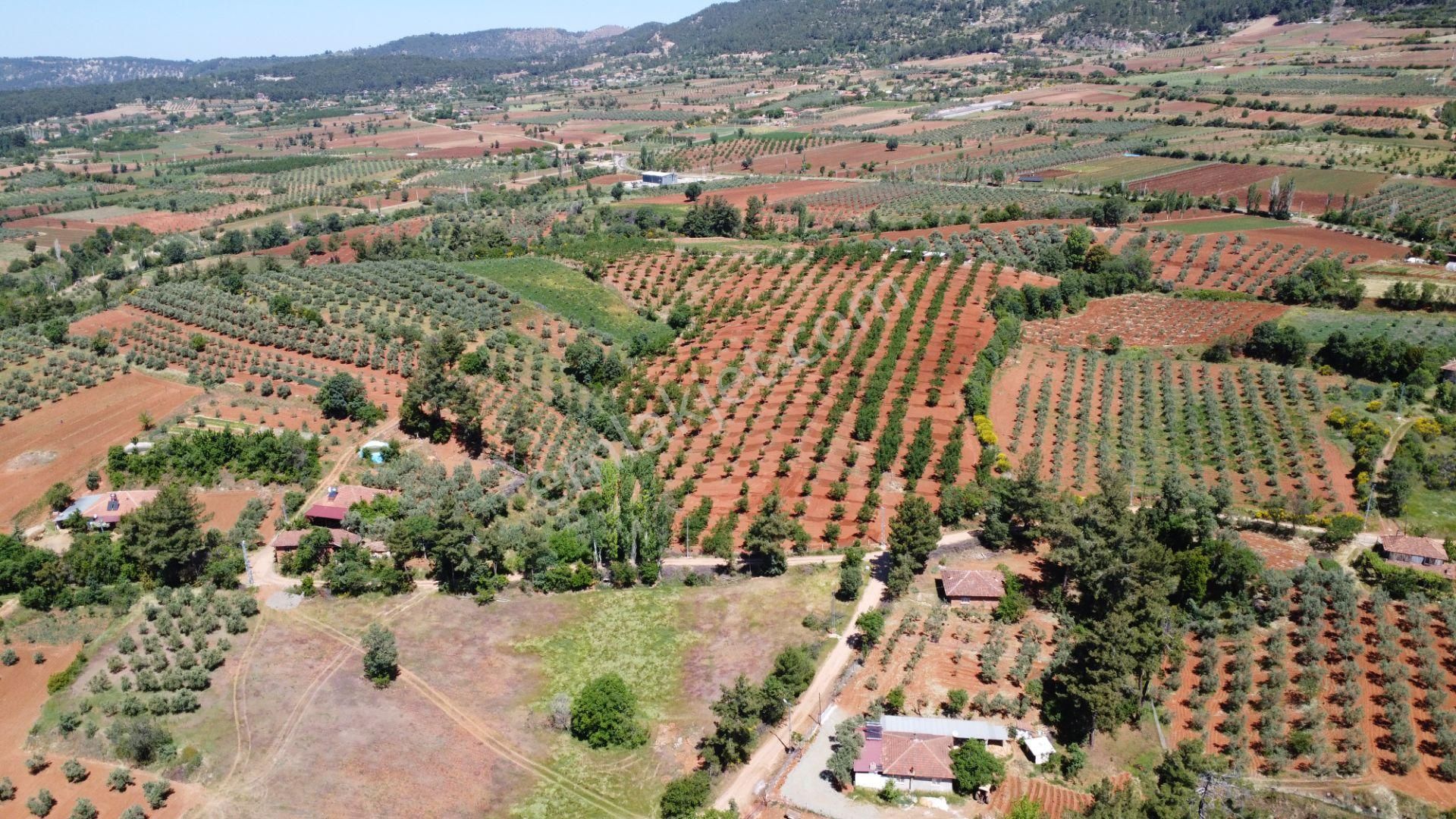 Beyağaç'ta Doğa İçinde Altyapısı Hazır 10 Villalık Fırsat Arsalar - Görsel 13