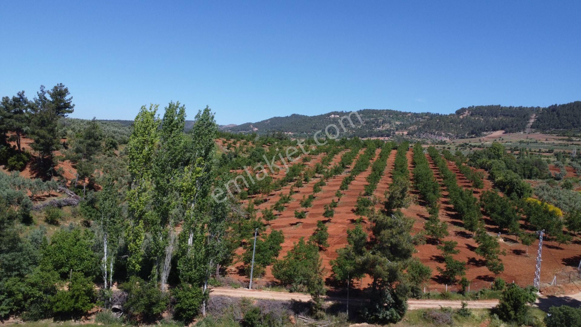 Beyağaç'ta Doğa İçinde Altyapısı Hazır 10 Villalık Fırsat Arsalar - Görsel 4