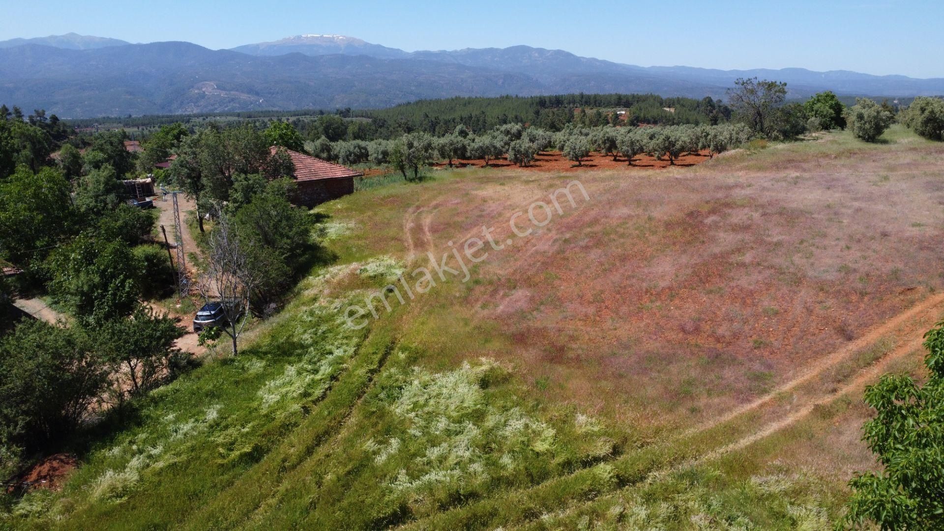 Beyağaç'ta Doğa İçinde Altyapısı Hazır 10 Villalık Fırsat Arsalar - Görsel 5