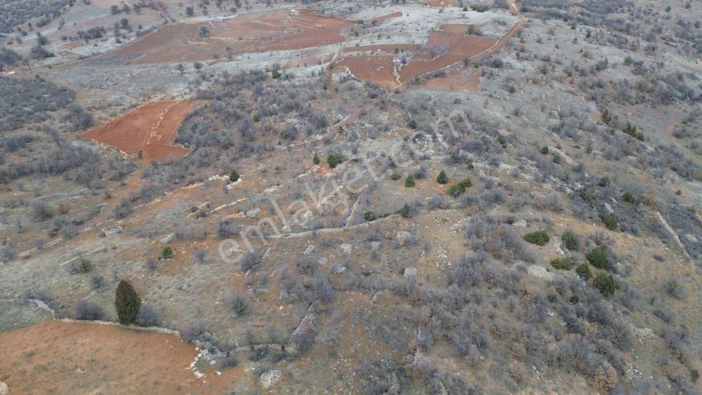 Güneysınır Ömeroğlu 1.463 M2 Müstakil Tapulu Bağ - Görsel 3