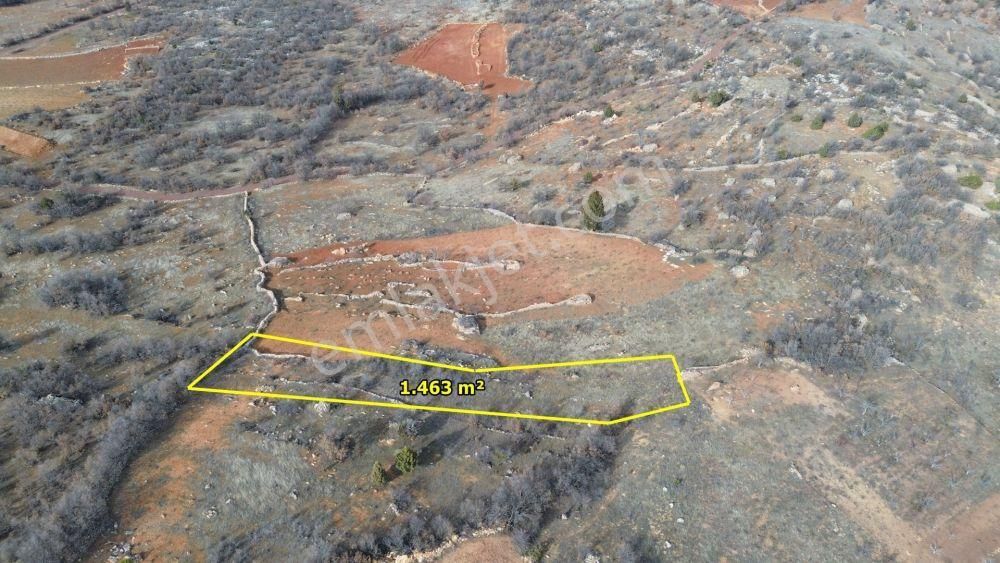 Güneysınır Ömeroğlu 1.463 M2 Müstakil Tapulu Bağ