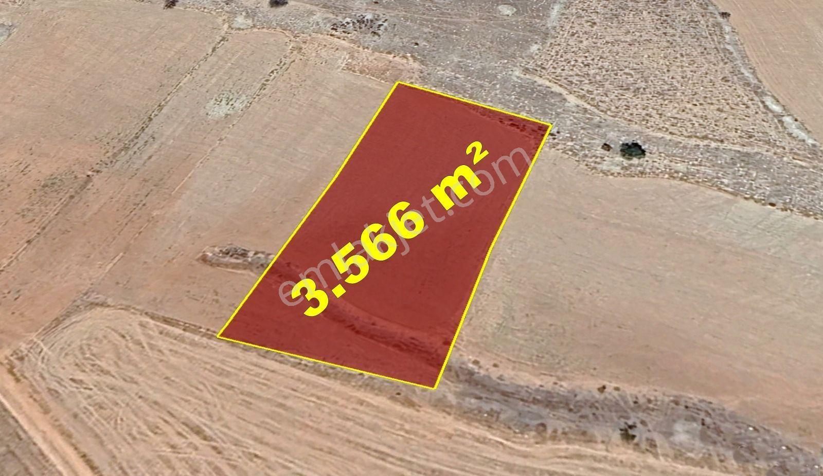 Karaman / Kazımkarabekir / Subaşı Mahallesinde 3.566 M² Müstakil Tapulu Tarla - Görsel 5