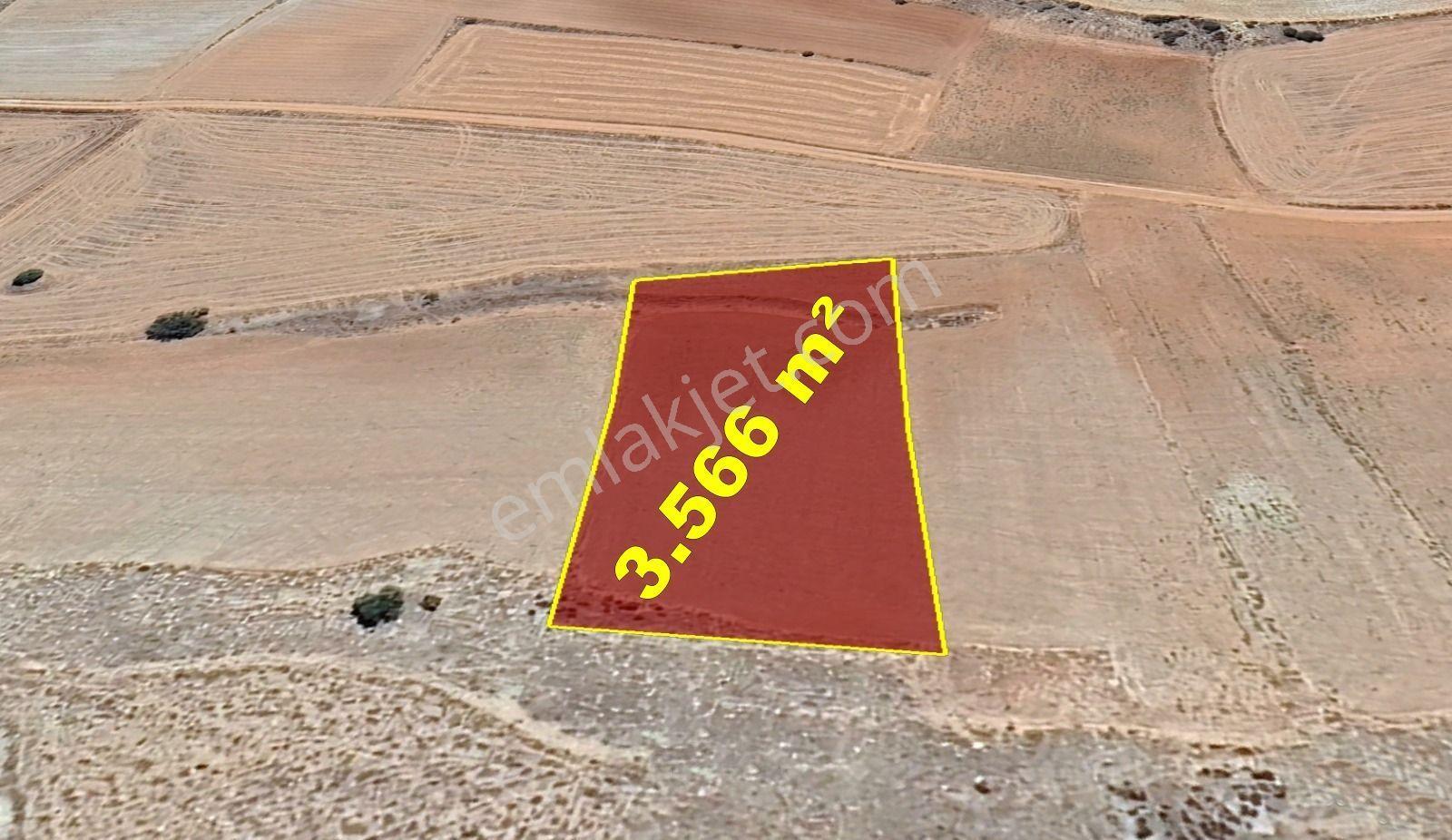 Karaman / Kazımkarabekir / Subaşı Mahallesinde 3.566 M² Müstakil Tapulu Tarla
