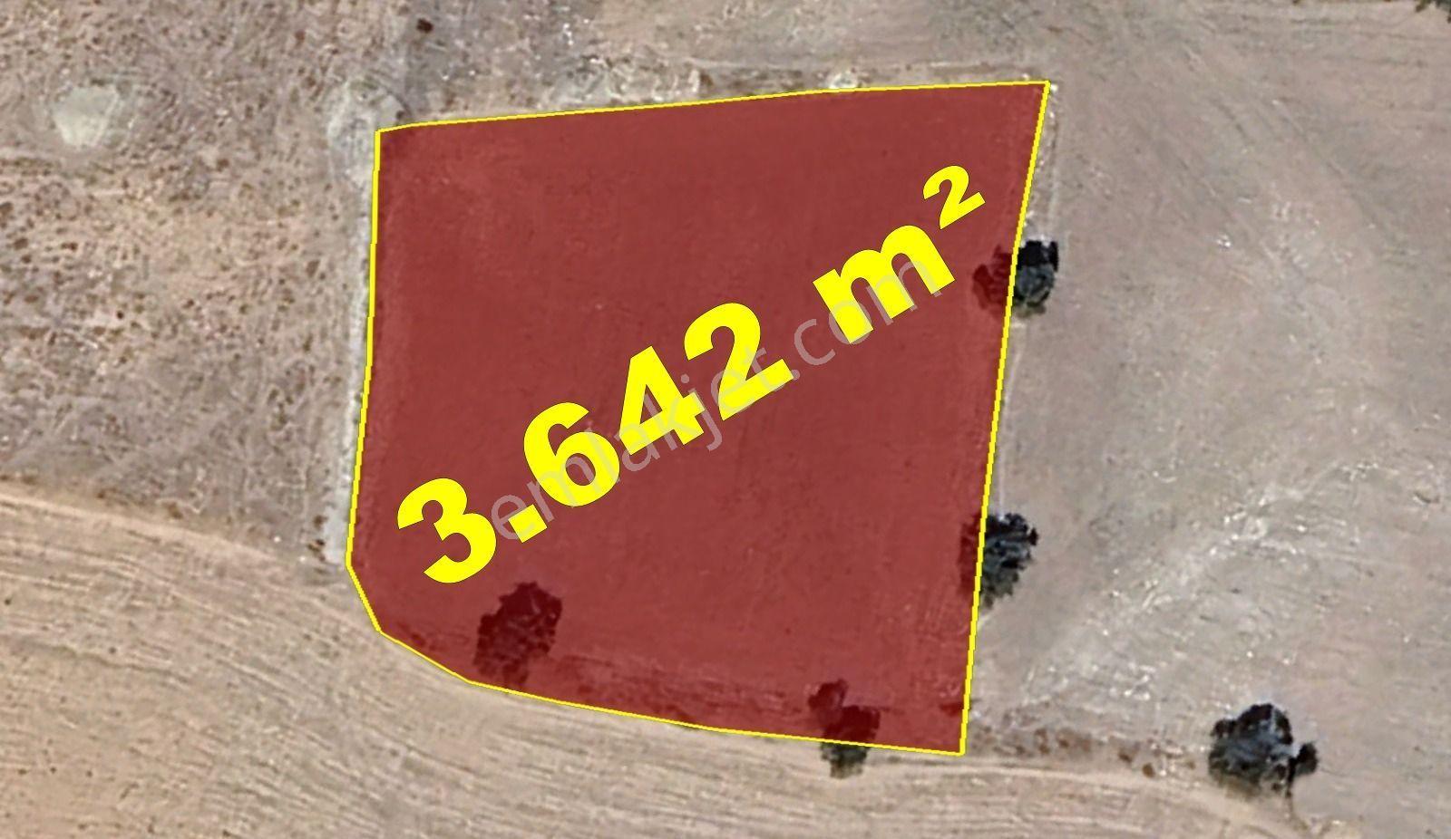 Karaman / Kazımkarabekir / Subaşı Mahallesinde 3.642 M² Müstakil Tapulu Bağ - Görsel 2