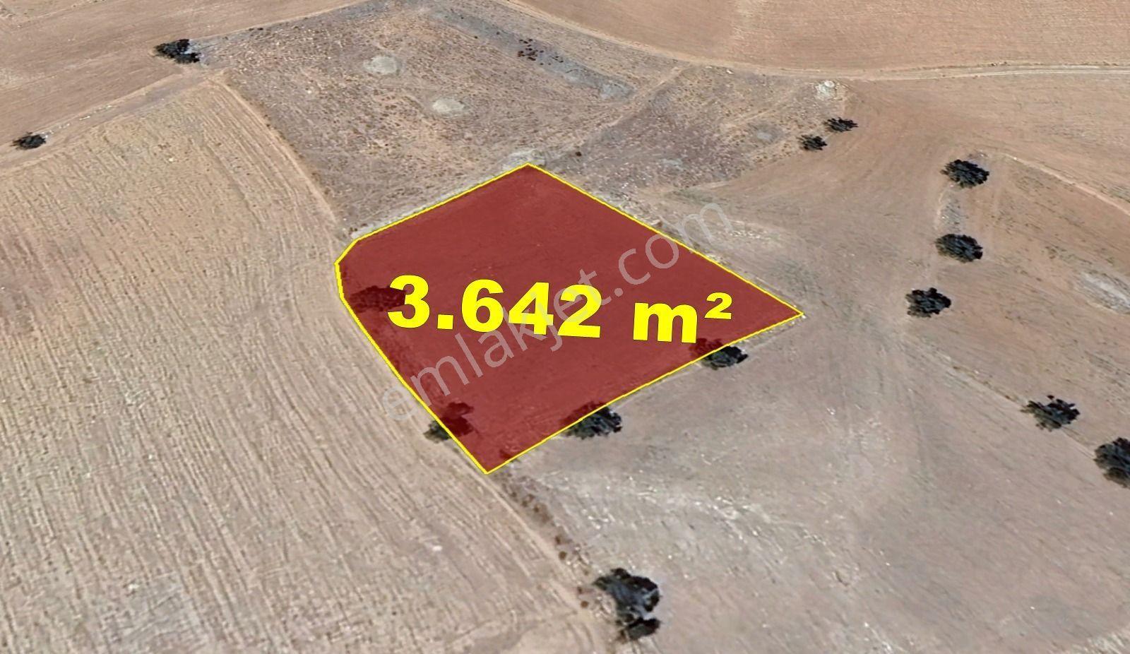 Karaman / Kazımkarabekir / Subaşı Mahallesinde 3.642 M² Müstakil Tapulu Bağ - Görsel 10