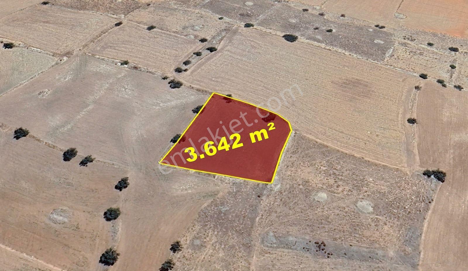 Karaman / Kazımkarabekir / Subaşı Mahallesinde 3.642 M² Müstakil Tapulu Bağ - Görsel 7