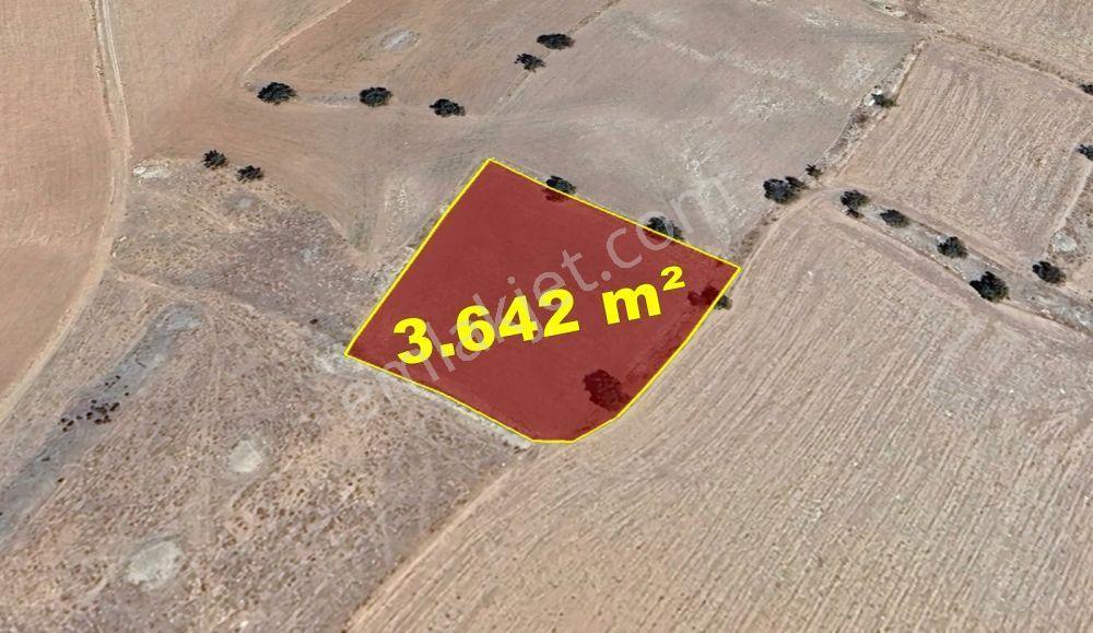 Karaman / Kazımkarabekir / Subaşı Mahallesinde 3.642 M² Müstakil Tapulu Bağ - Görsel 3