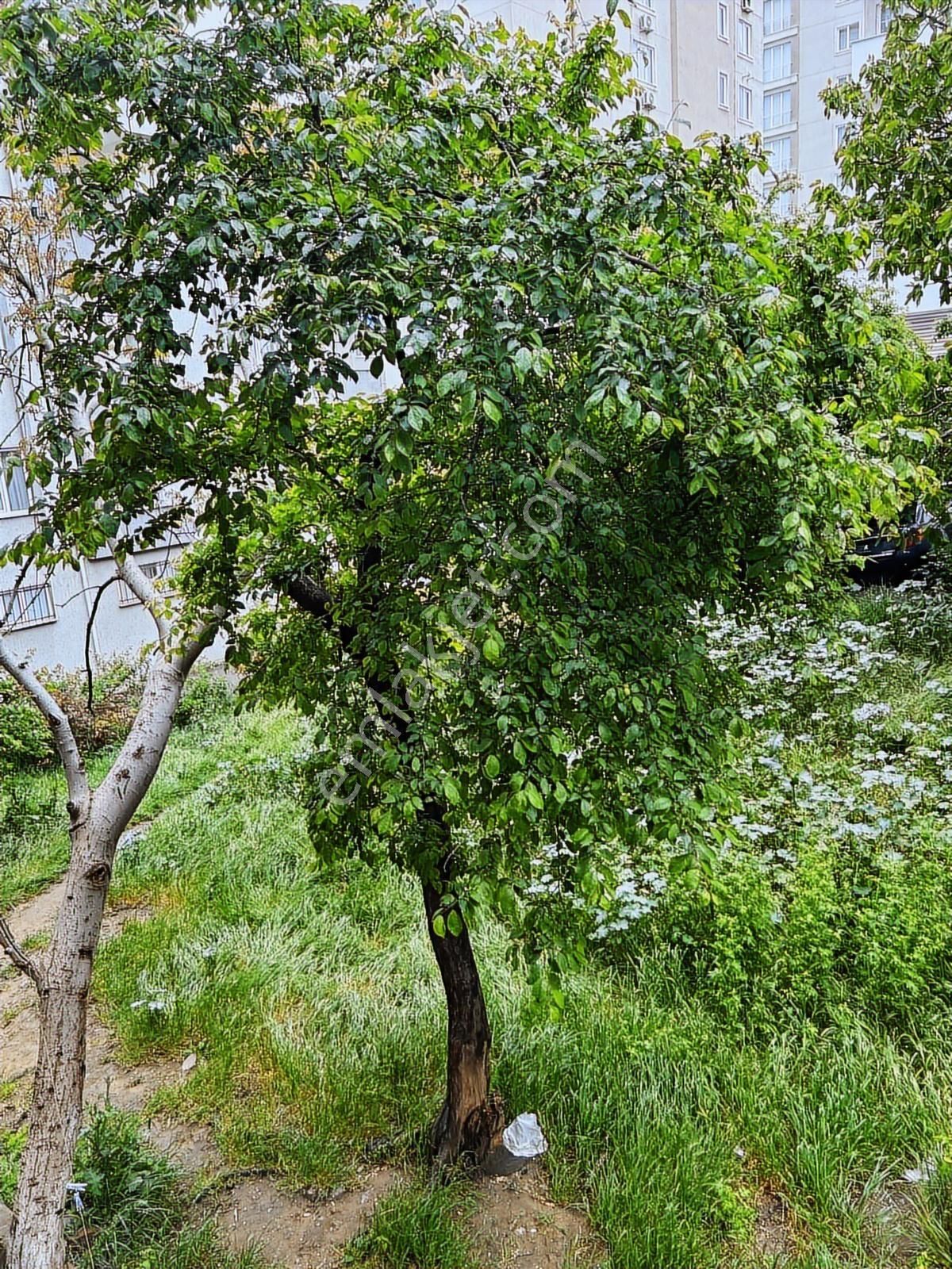 Ümraniye Atakent Eşyalı 90 M2 Kiralık Daire - Görsel 6