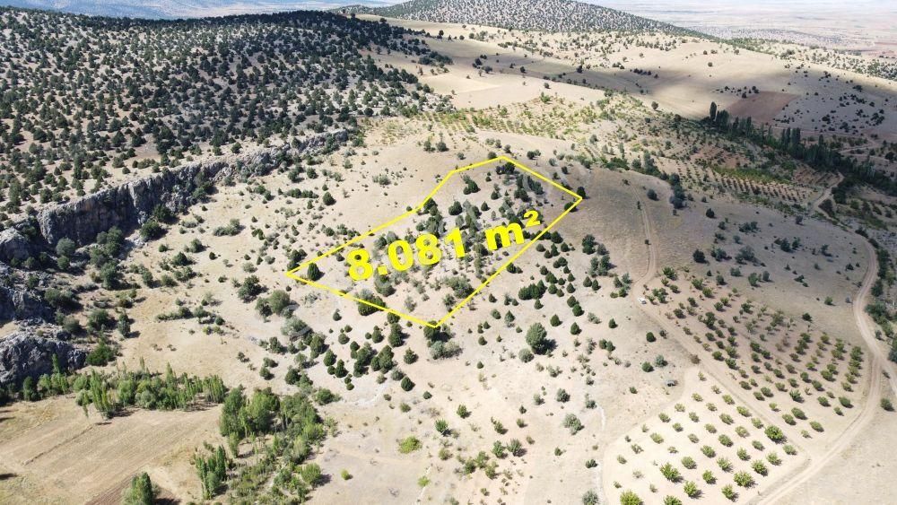 Konya / Akören / Belkuyu Mahallesinde 8.081 M² Müstakil Tapulu Tarla