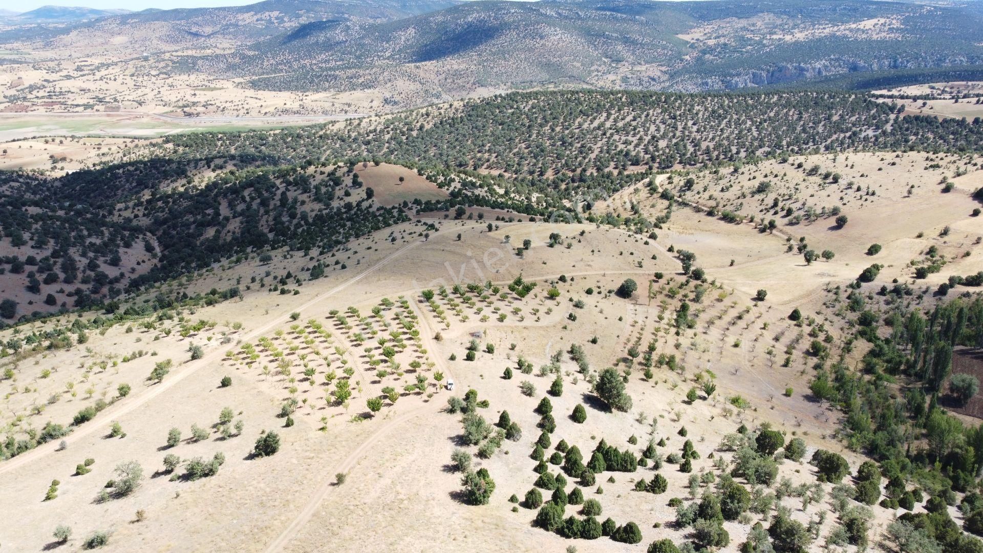 Konya / Akören / Belkuyu Mahallesinde 8.081 M² Müstakil Tapulu Tarla - Görsel 6