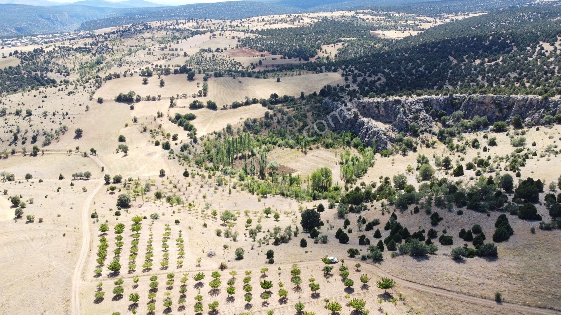 Konya / Akören / Belkuyu Mahallesinde 8.081 M² Müstakil Tapulu Tarla - Görsel 2