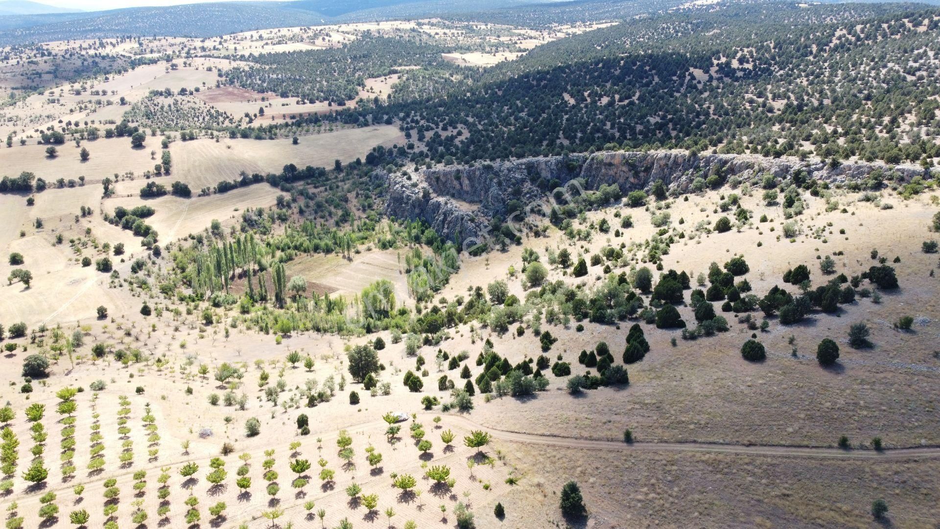 Konya / Akören / Belkuyu Mahallesinde 8.081 M² Müstakil Tapulu Tarla - Görsel 3