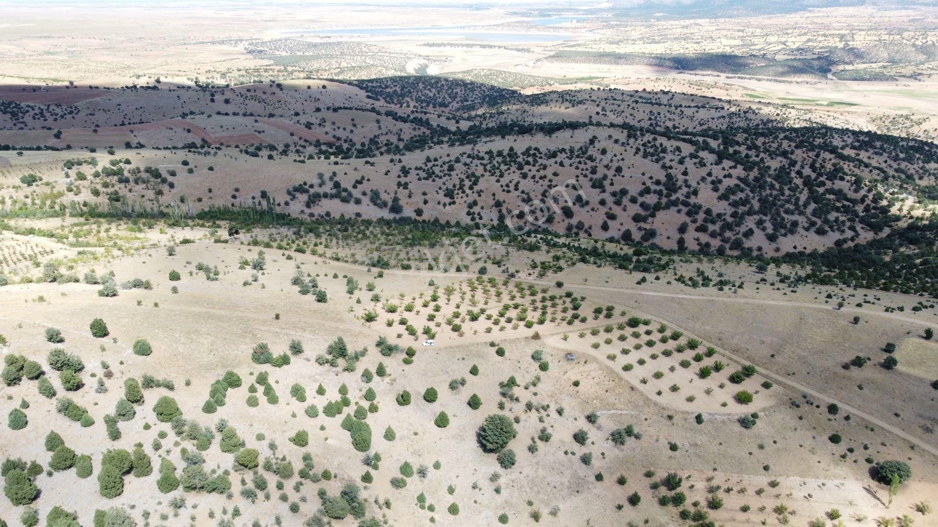 Konya / Akören / Belkuyu Mahallesinde 8.081 M² Müstakil Tapulu Tarla - Görsel 5