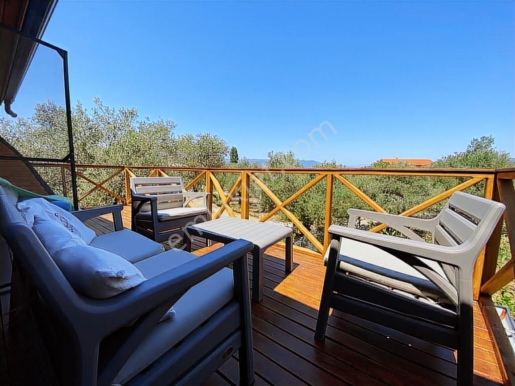 Köyceğiz Zeytinalanında 6 Dönüm İçinde Muhteşem Havuzlu Villa - Görsel 10