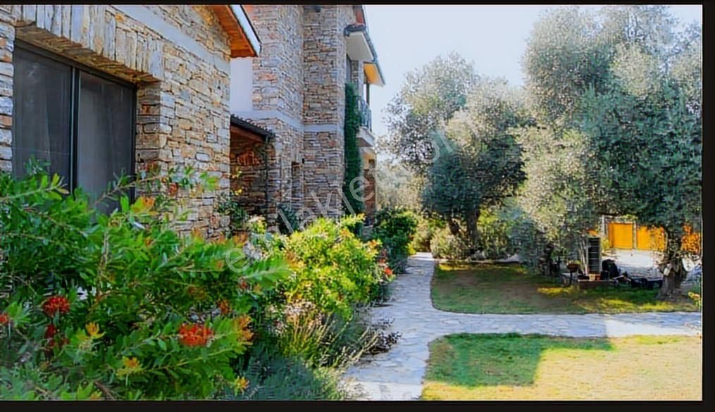 Köyceğiz Zeytinalanında 6 Dönüm İçinde Muhteşem Havuzlu Villa - Görsel 14