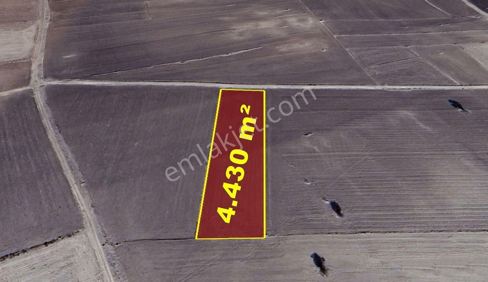 Konya / Akören / Orhaniye Mahallesinde 4.430 M² Müstakil Tapulu Tarla - Görsel 7