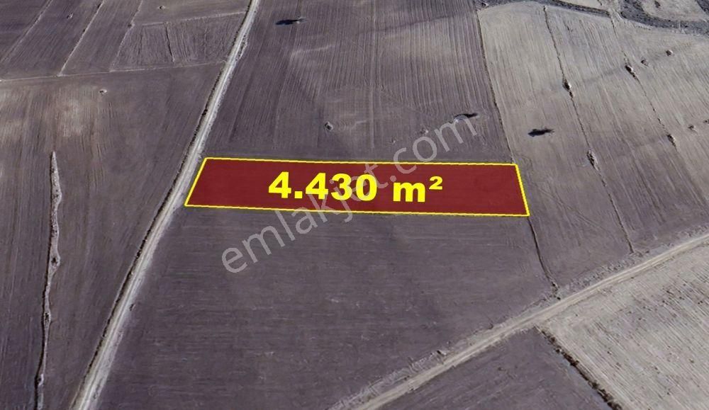 Konya / Akören / Orhaniye Mahallesinde 4.430 M² Müstakil Tapulu Tarla - Görsel 2