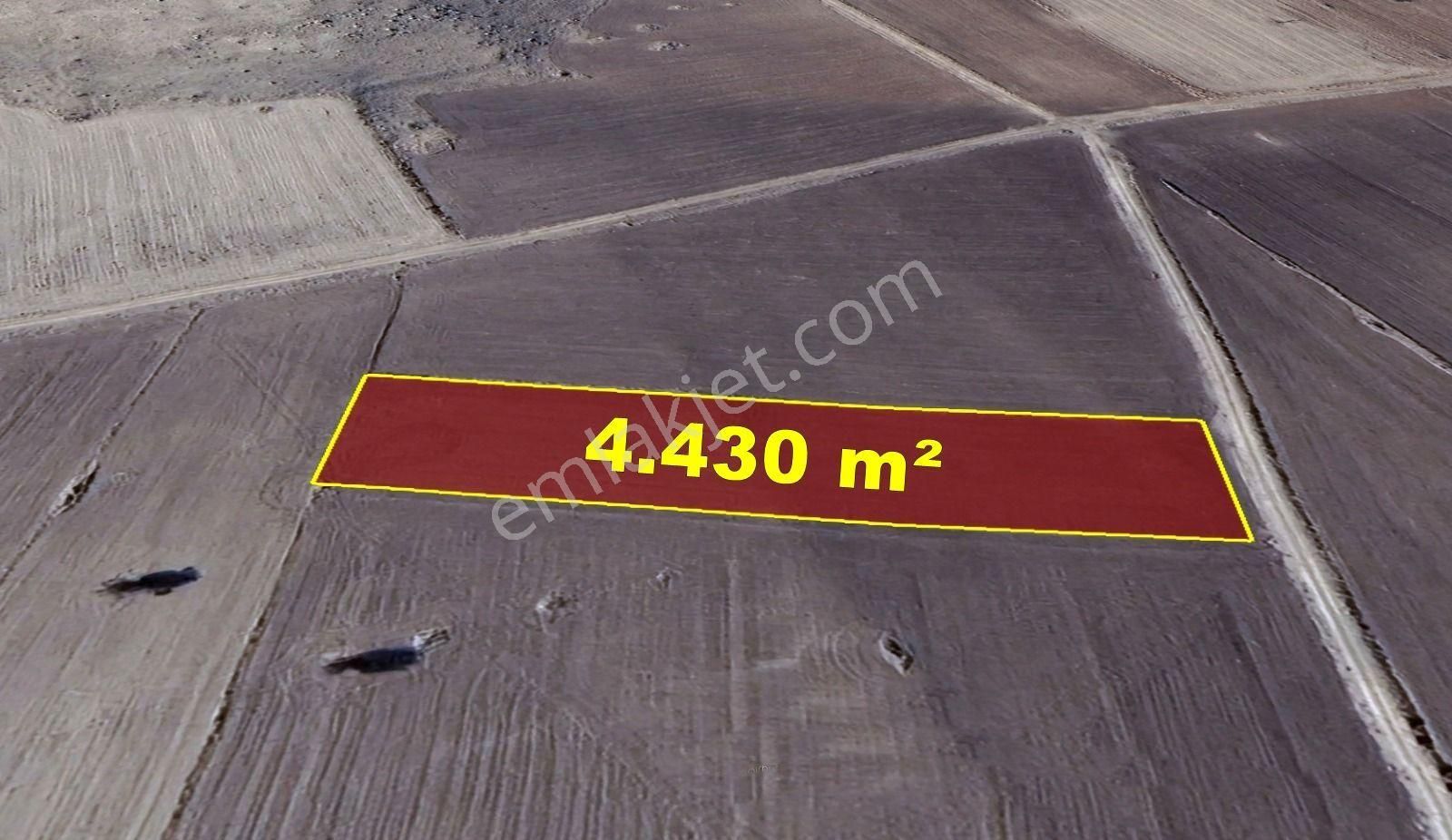 Konya / Akören / Orhaniye Mahallesinde 4.430 M² Müstakil Tapulu Tarla - Görsel 8