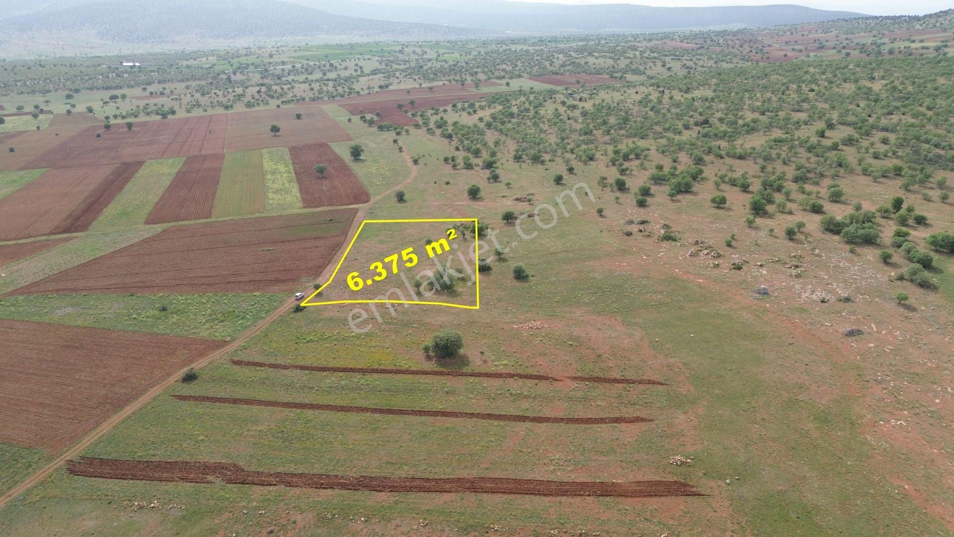 Konya / Akören / Hacılar Mahallesinde 6.375 M² Müstakil Tapulu Tarla - Görsel 6