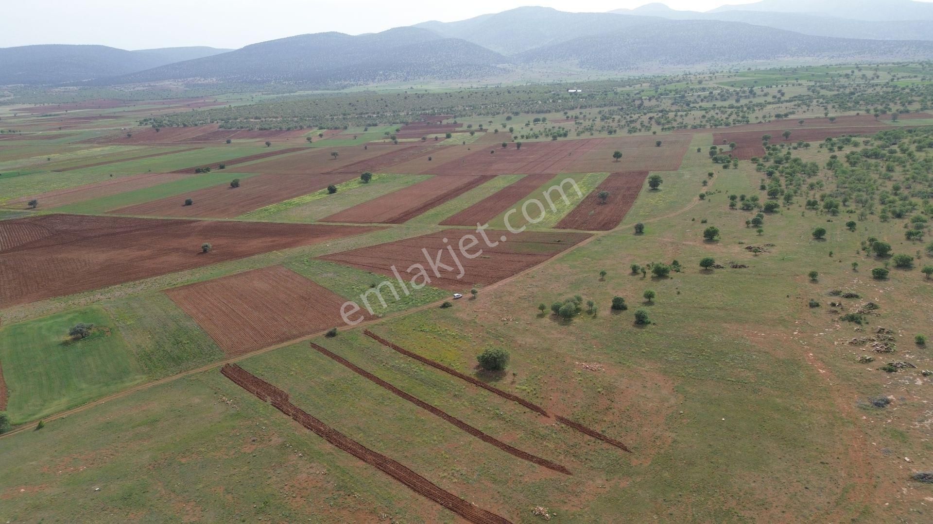 Konya / Akören / Hacılar Mahallesinde 6.375 M² Müstakil Tapulu Tarla - Görsel 3