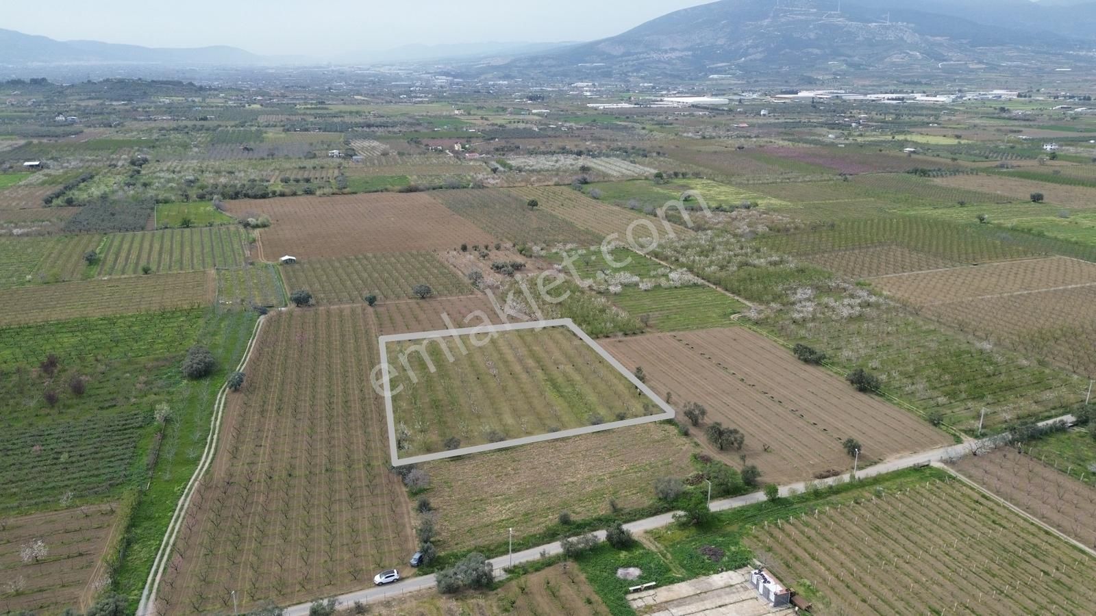 Turyap'tan Kemalpaşa Ören Cumhuriyet'te Satılık 5.331 M2 Bahçe - Görsel 13