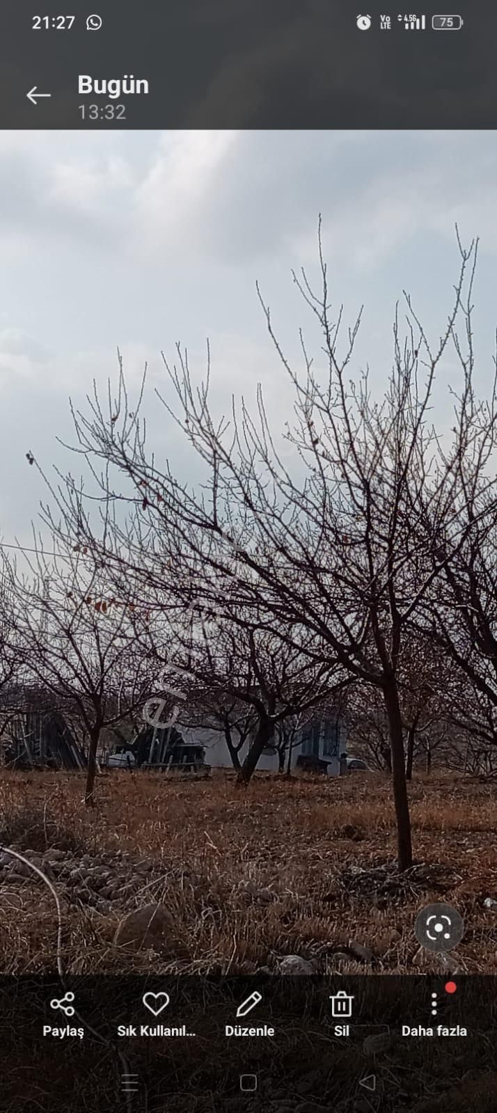 Malatya Battalgazi 9000 Metrekare Kayısı Bahçesi Kuzey Marmara Yoluna Cephe - Görsel 5