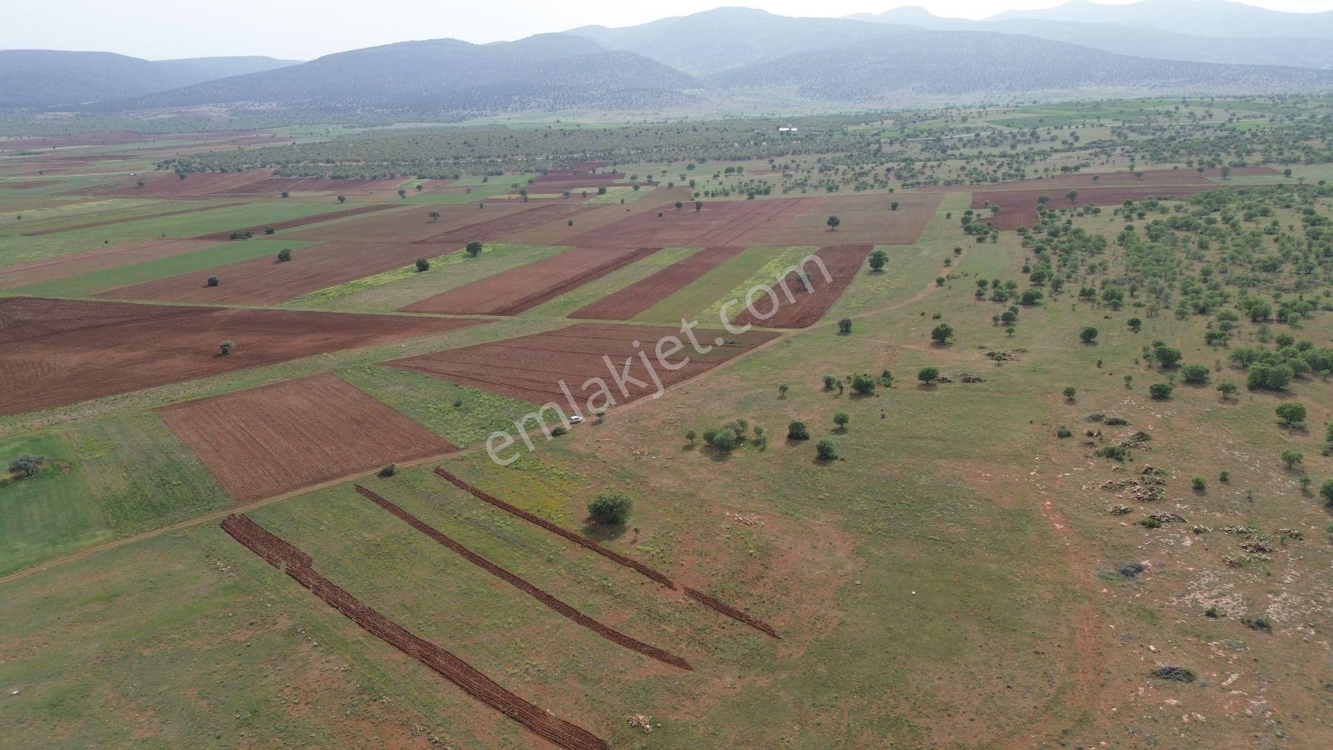 Konya / Akören / Hacılar Mahallesinde 5.944 M² Müstakil Tapulu Tarla - Görsel 5