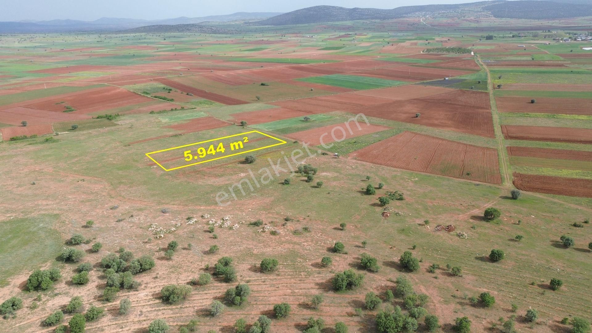 Konya / Akören / Hacılar Mahallesinde 5.944 M² Müstakil Tapulu Tarla - Görsel 2