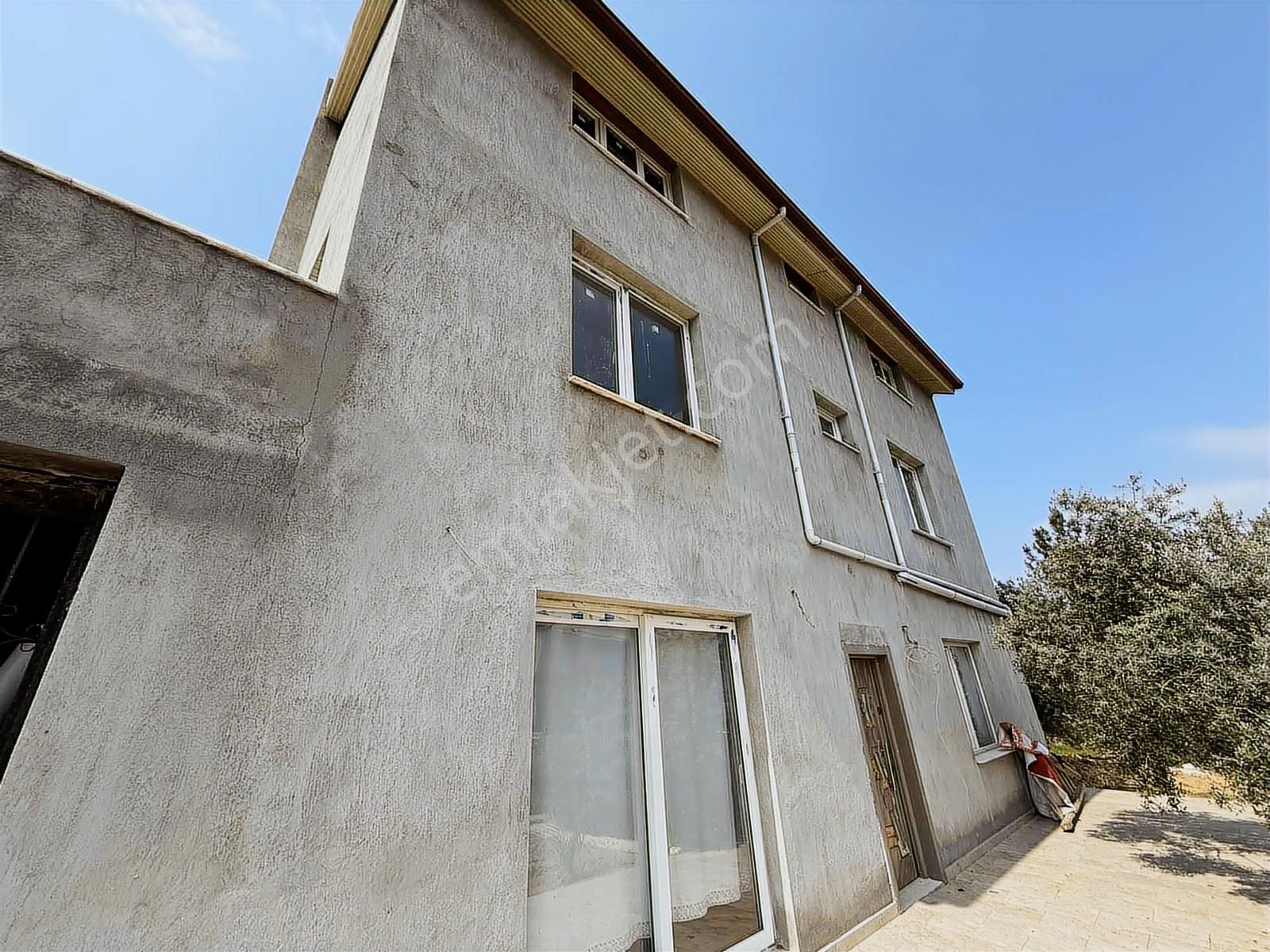 Kemalpaşa'da Satılık 4,5 Dönüm Zeytinlik Ve 250 M2 Konut - Görsel 4