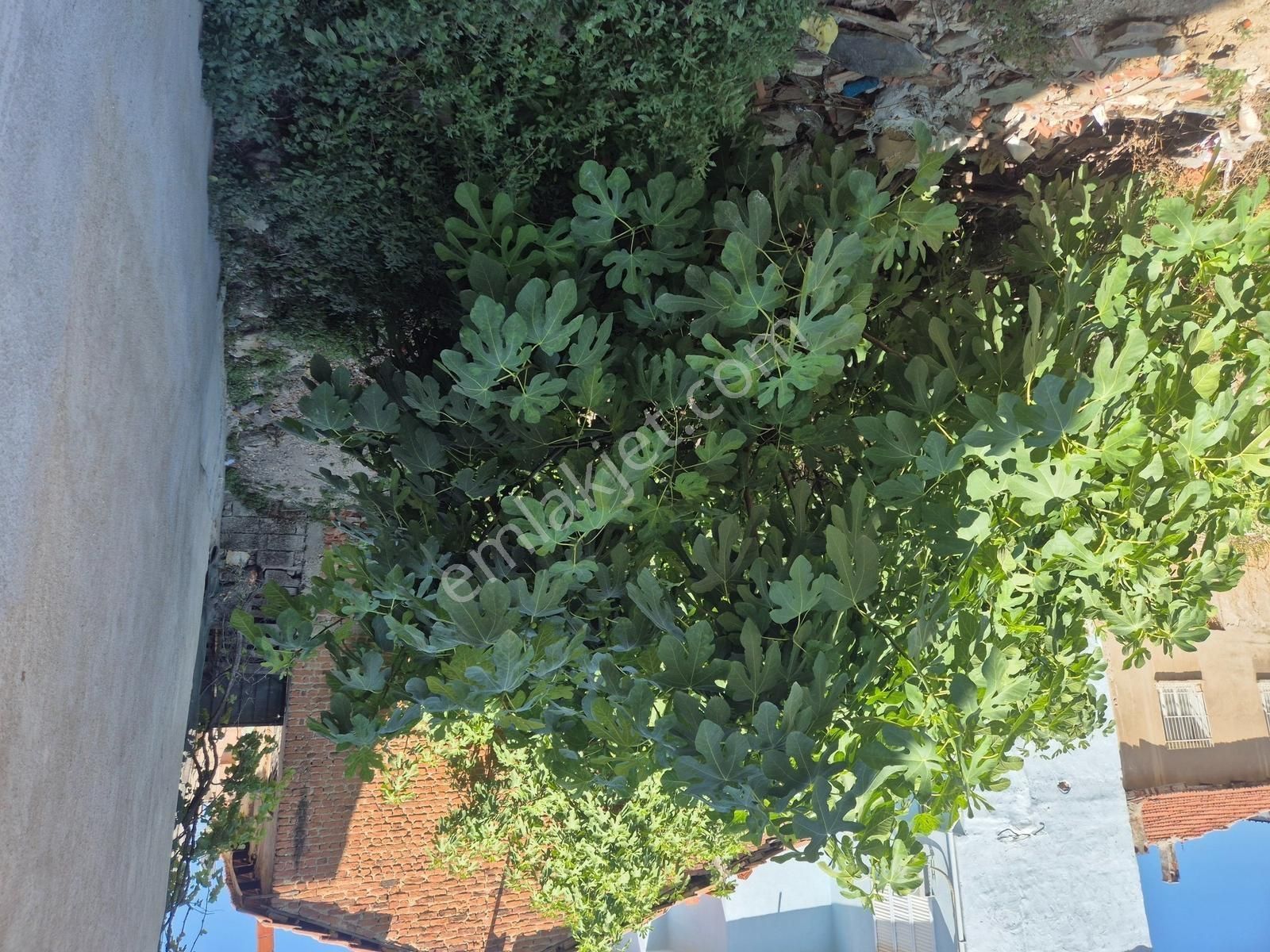 Bornova Meriç Mah 2 Kat İmarlı Satılık Arsa - Görsel 3