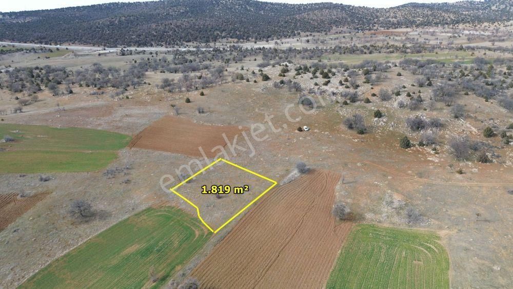 Güneysınır Mehmetalide 1.819 M2 Müstakil Tapulu Arazi - Görsel 2