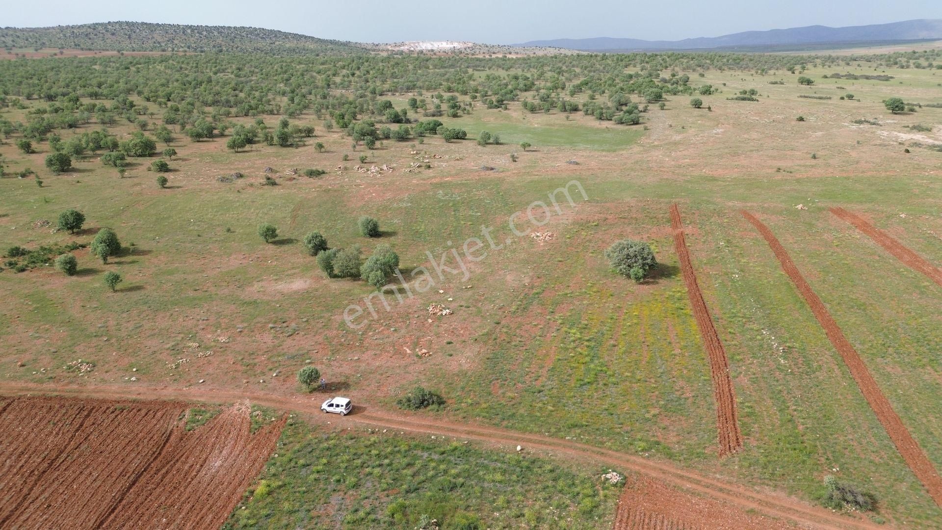 Konya / Akören / Hacılar Mahallesinde 3.612 M² Müstakil Tapulu Tarla - Görsel 6