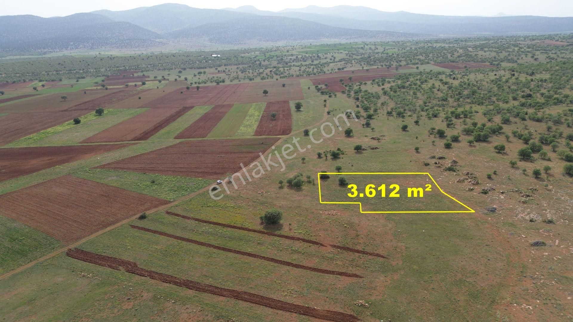 Konya / Akören / Hacılar Mahallesinde 3.612 M² Müstakil Tapulu Tarla - Görsel 2