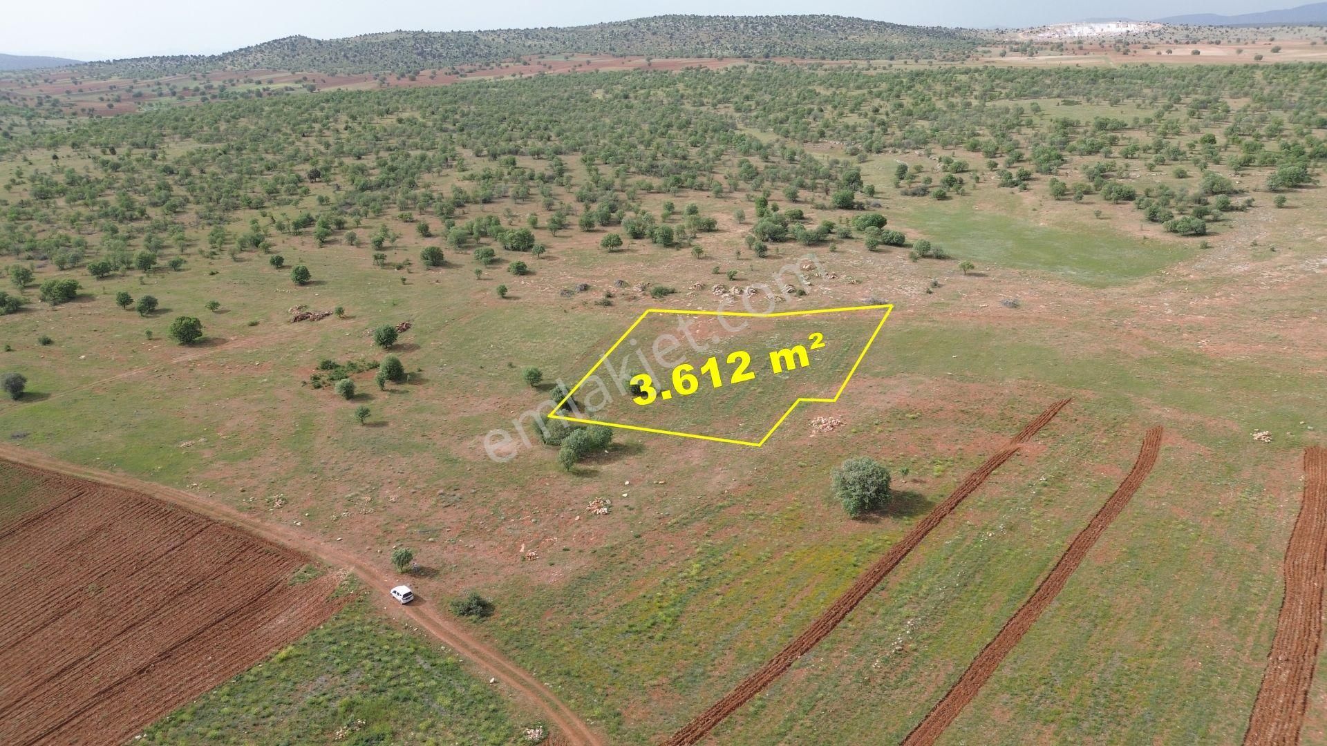 Konya / Akören / Hacılar Mahallesinde 3.612 M² Müstakil Tapulu Tarla