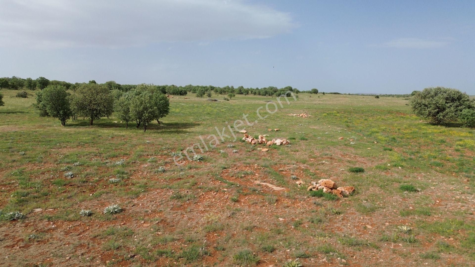 Konya / Akören / Hacılar Mahallesinde 3.612 M² Müstakil Tapulu Tarla - Görsel 4
