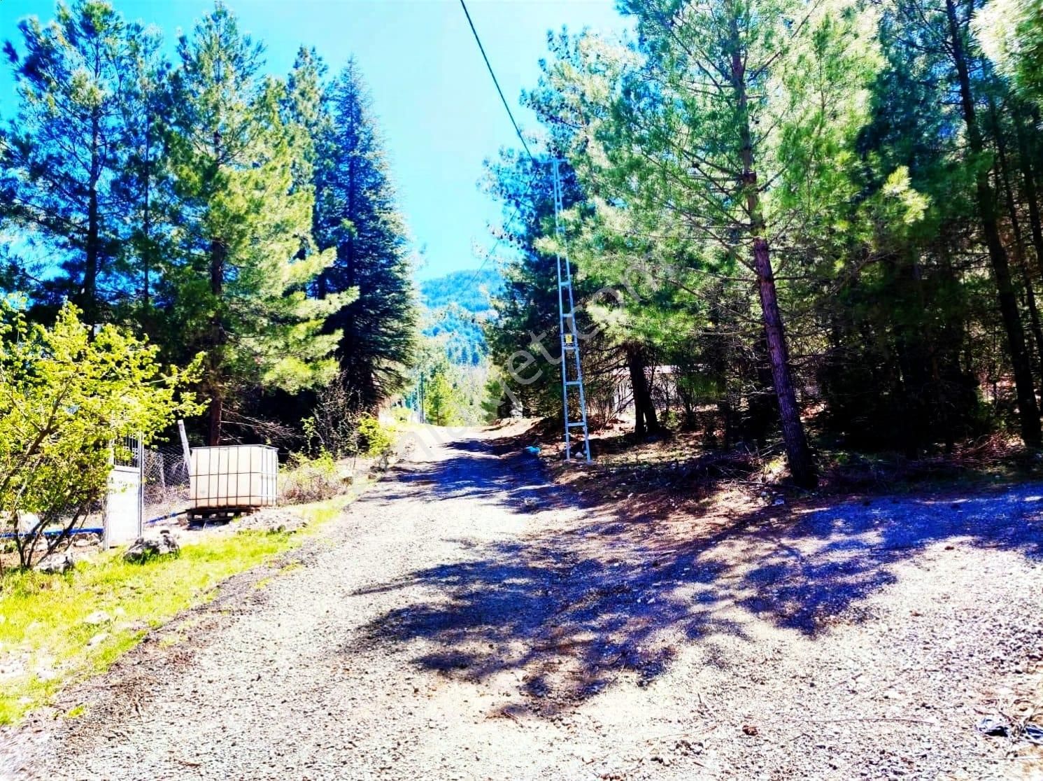 Kar Emlaktan Eskikonacık Çayır Yaylasında 1 Dönüm Satılık Arsa - Görsel 23