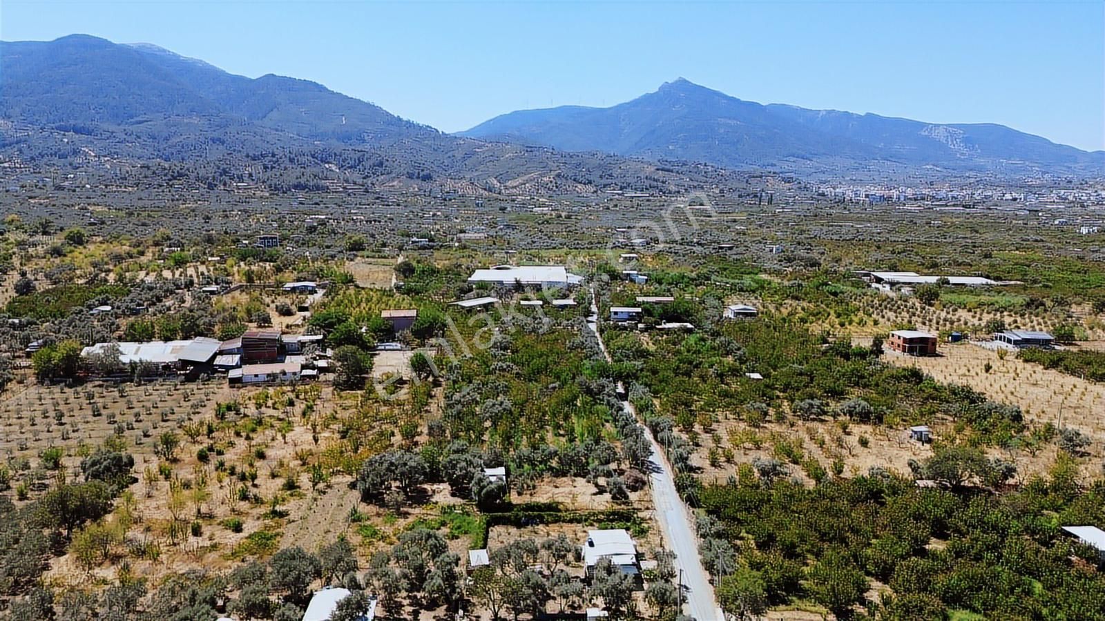 Armutlu Hürriyet'te Satılık 2.848 M2 Bağ - Bahçe - Görsel 12