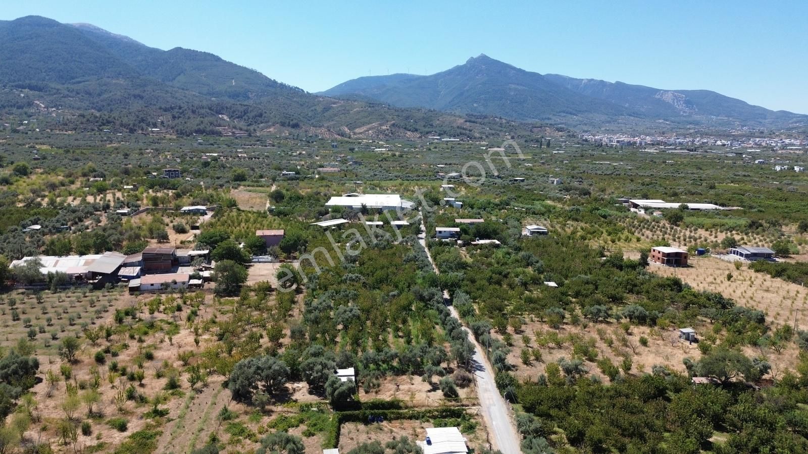 Armutlu Hürriyet'te Satılık 2.848 M2 Bağ - Bahçe - Görsel 14